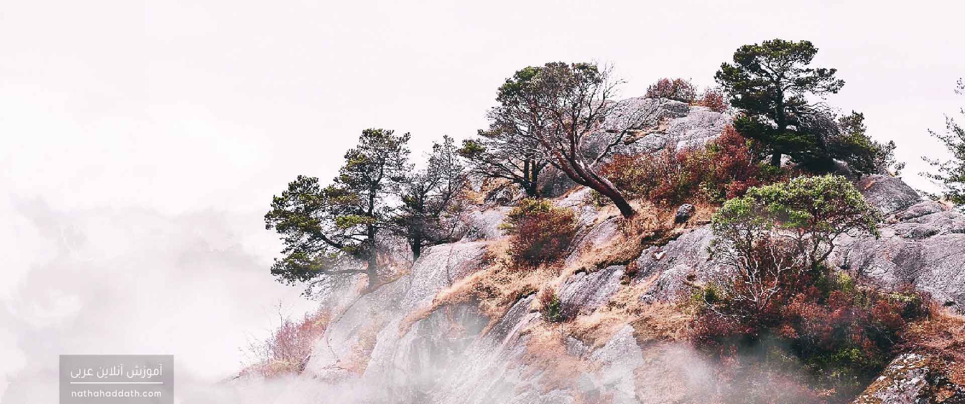 «اسلوب نداء» یا «منادا و احکام آن در زبان عربی» | دفتر اول