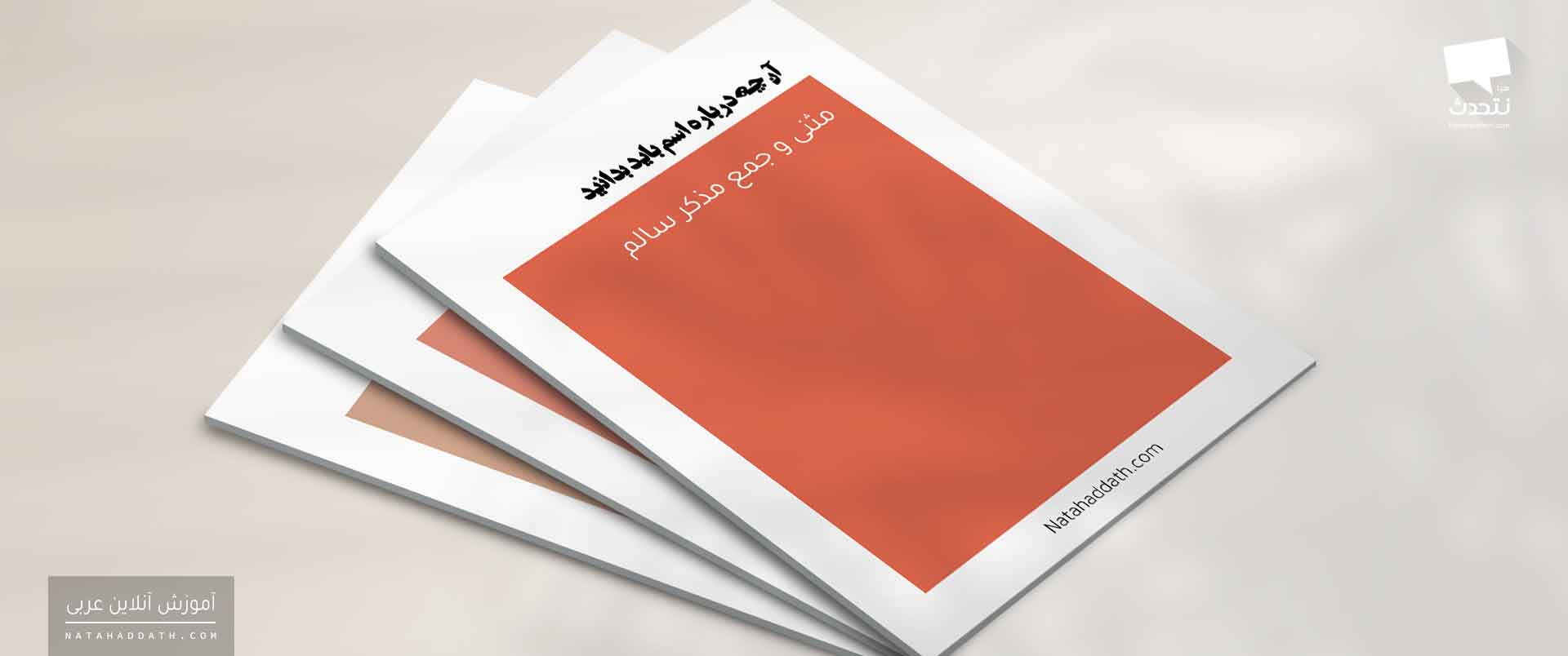 آن چه درباره «اسم» باید بدانید | دفتر دوم؛ «مثنی» و «جمع مذکر سالم»