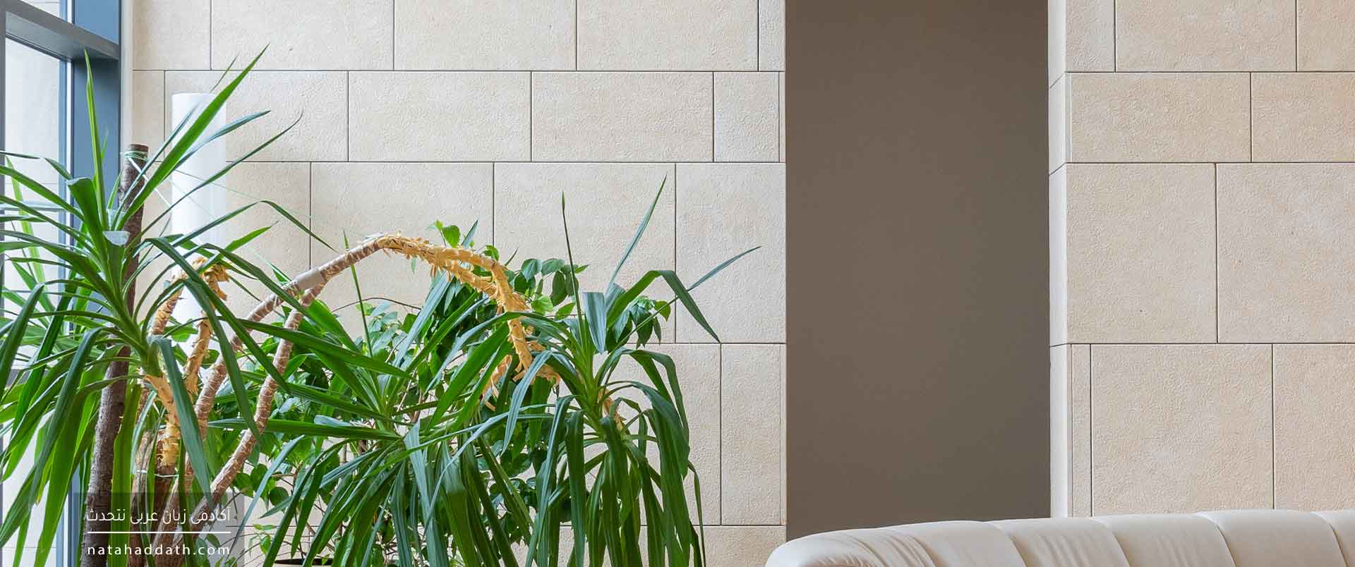 فعل جامد و فعل متصرف