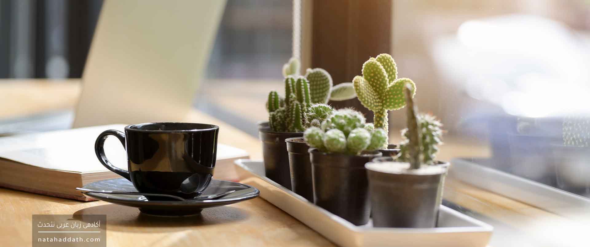 اسناد در نحو عربی