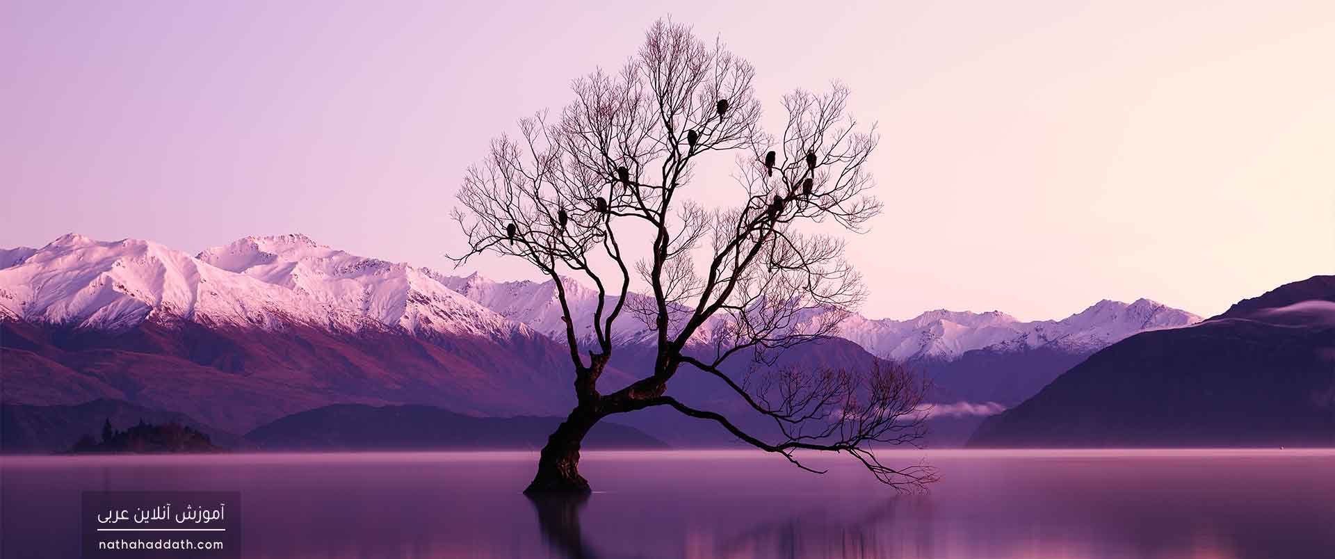 «اسلوب نداء» یا «منادا و احکام آن در زبان عربی» | دفتر دوم