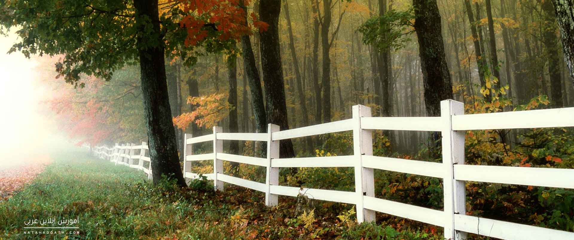 نون وقایه و کارکرد آن