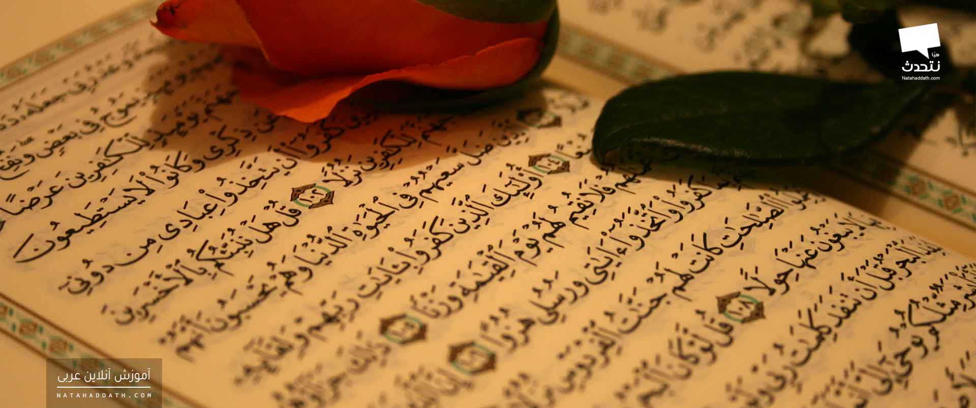 چند نکته جالب درباره «ادغام» که کمتر شنیده‌اید!