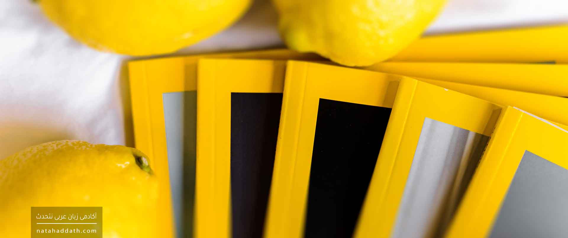 «جمع تکسیر» چیست؟