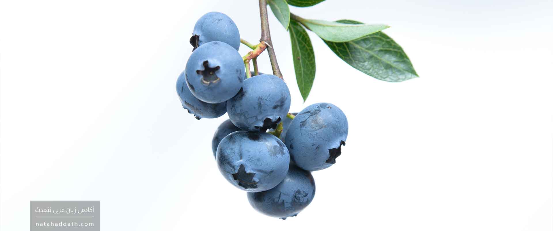 نکره و معرفه