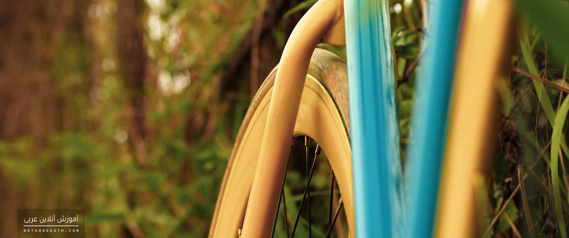 شناخت توابع | دفتر دوم: «قطع، حذف، تعدد و تقدم نعت»