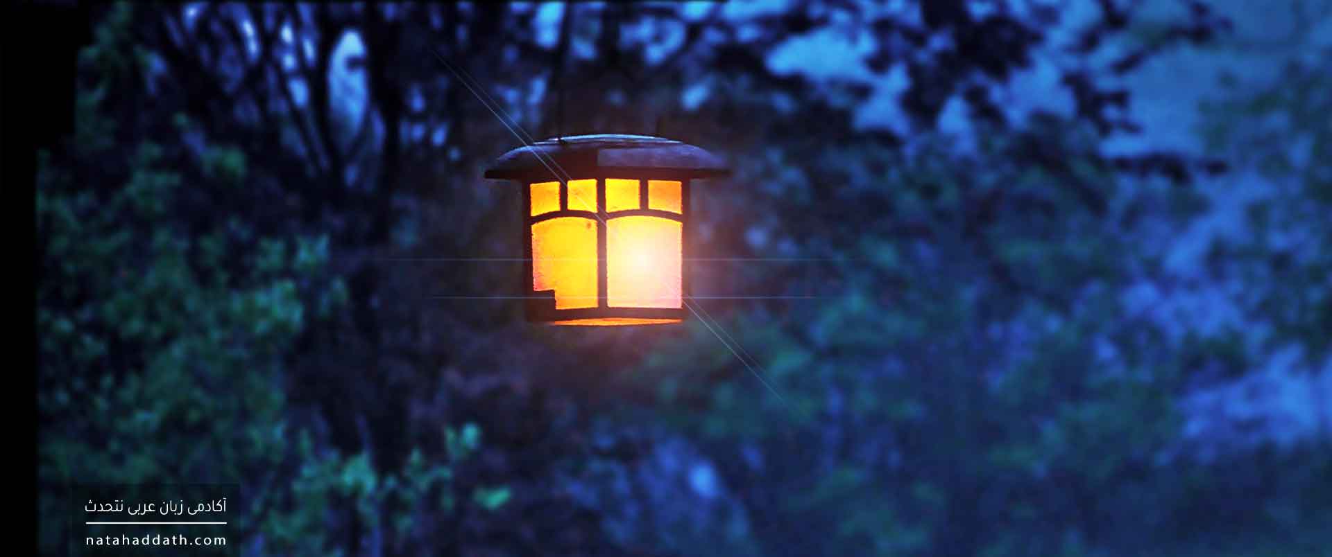 علم در زبان عربی | دفتر دوم: اعراب علم