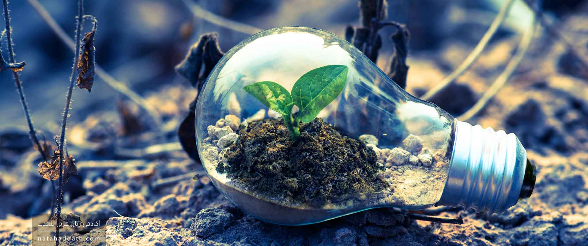 انشاء و جمله انشائیه