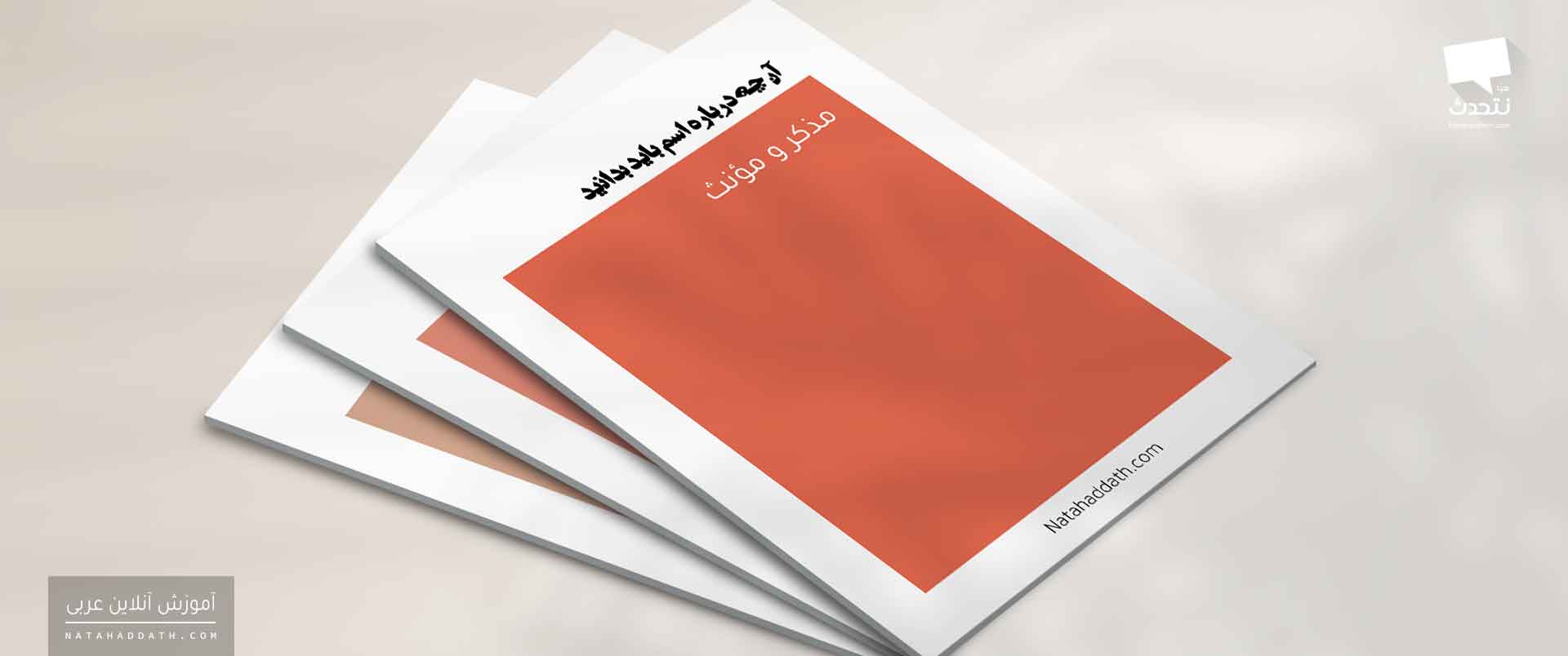 آن چه درباره «اسم» باید بدانید | دفتر اول؛ «مذکر و مؤنث»