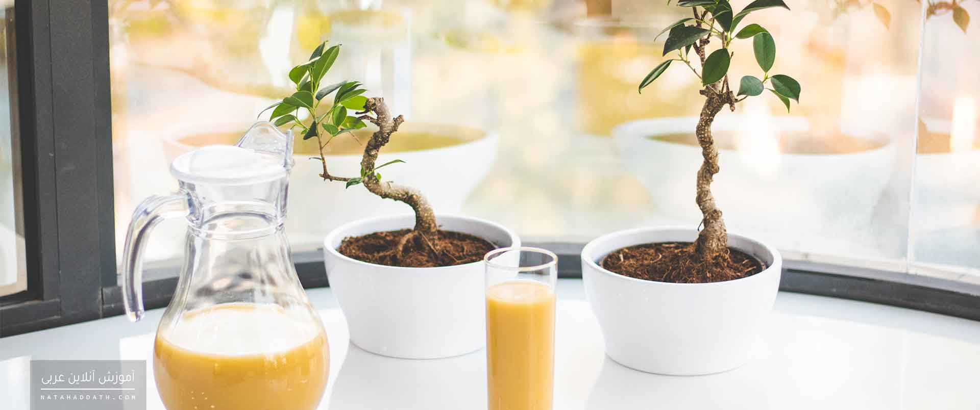 شناخت توابع | دفتر سوم: «توکید»